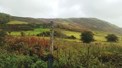 Scenic view of field and mountains against sky