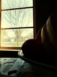 View of building through window