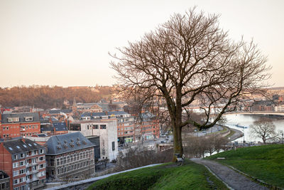 Bare tree by buildings against sky