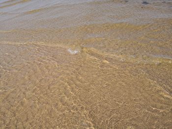 High angle view of sandy beach