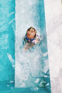 High angle view of turtle in swimming pool