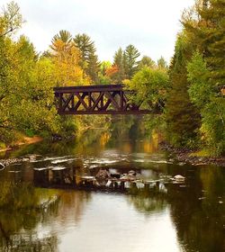 Reflection of trees in river