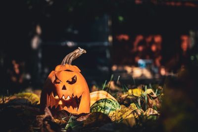 Close-up of jack o lantern