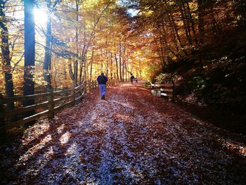 Rear view of people at forest during autumn