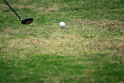 High angle view of golf ball on field