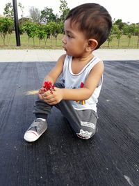 Boy eating fruit on tree