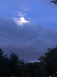 Low angle view of silhouette trees against blue sky
