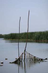 water