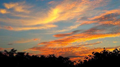 Silhouette of trees at sunset