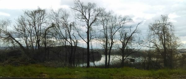 Bare trees by river against cloudy sky