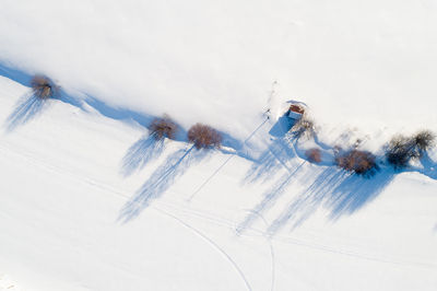 The bright sunlight creates shadows of the trees and bushes on the snow covering a river .