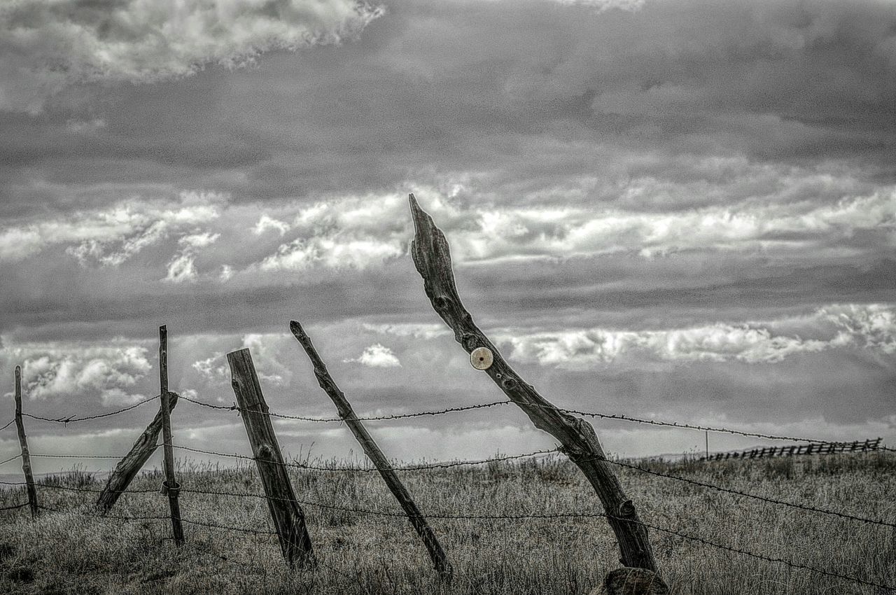 Pissed off fence post