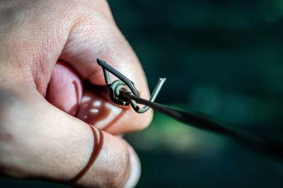 Close-up of insect on hand