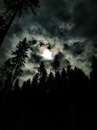 Low angle view of silhouette trees against sky