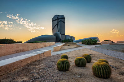 Cactus by sea against sky during sunset