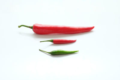 Close-up of red chili pepper against white background