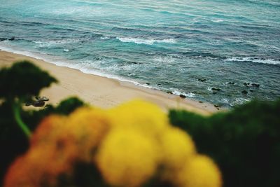 Close-up of sea shore