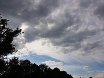 Low angle view of silhouette trees against sky