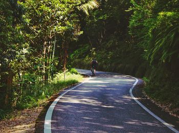 Rear view of man riding bicycle on road in forest