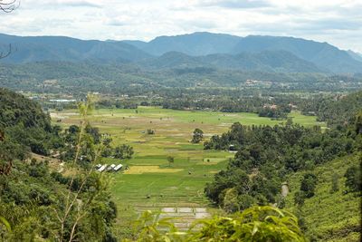 Scenic view of agricultural field against sky