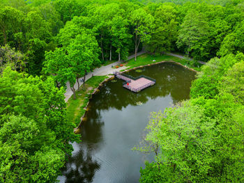 High angle view of river amidst trees