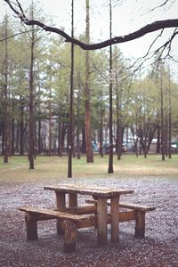 Empty bench in park