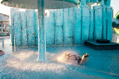 Full length of shirtless man swimming in pool