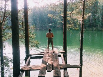Rear view of man standing by tree in lake