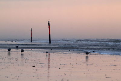 Scenic view of beach against sky during sunset