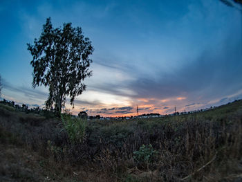 Scenic view of field against sky during sunset