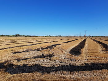 Scenic view of field against clear blue sky