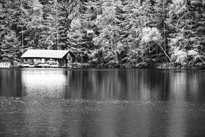 Scenic view of lake against trees in forest