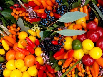 Fruits and vegetables on orange