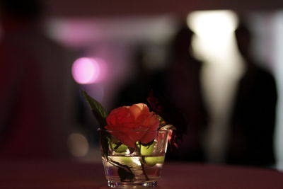 Close-up of red rose in glass on table