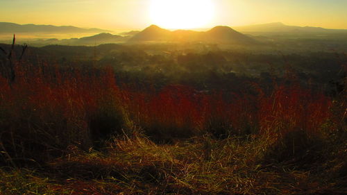 Scenic view of landscape against sky during sunset