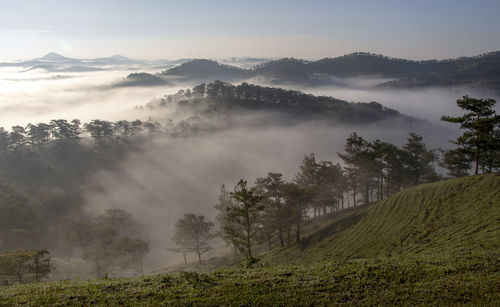 Scenic view of landscape against sky during foggy weather