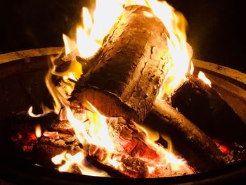 Close-up of bonfire at night