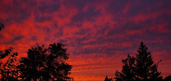 Low angle view of silhouette trees against dramatic sky