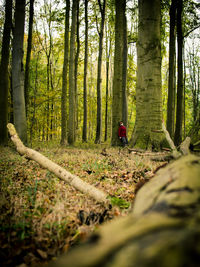 Man amidst trees in forest