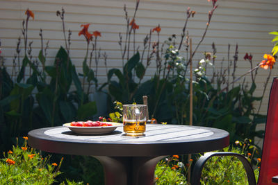 View of potted plants on table at restaurant