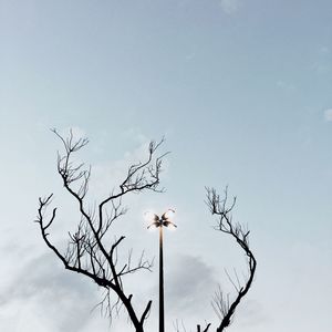 Low angle view of bare tree against clear sky