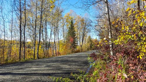 Road amidst trees in forest against sky during autumn