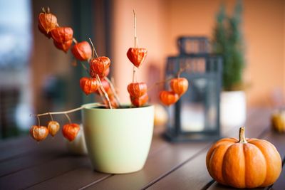 Winter cherries in cup by pumpkin on wooden table