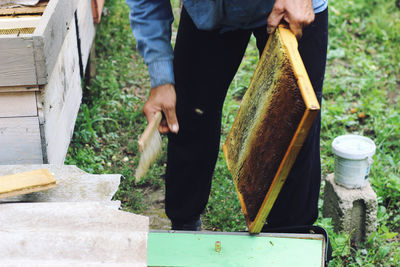 Midsection of man holding honeycomb while standing on field