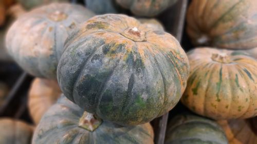 Close-up of pumpkins for sale at market stall