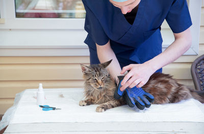 domestic animals