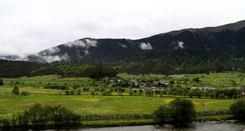 Scenic view of agricultural field against sky