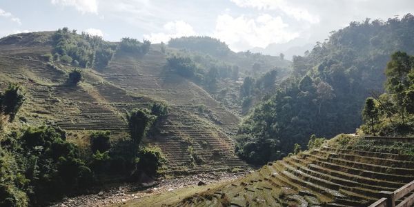 Panoramic view of trees and mountains against sky