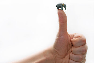 Close-up of hand with toy elephant on thumb