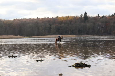 Woman riding horse in water